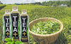 Trà Oolong Tea Plus - SUNTORY - Oolong Tea Plus 450ML x 24